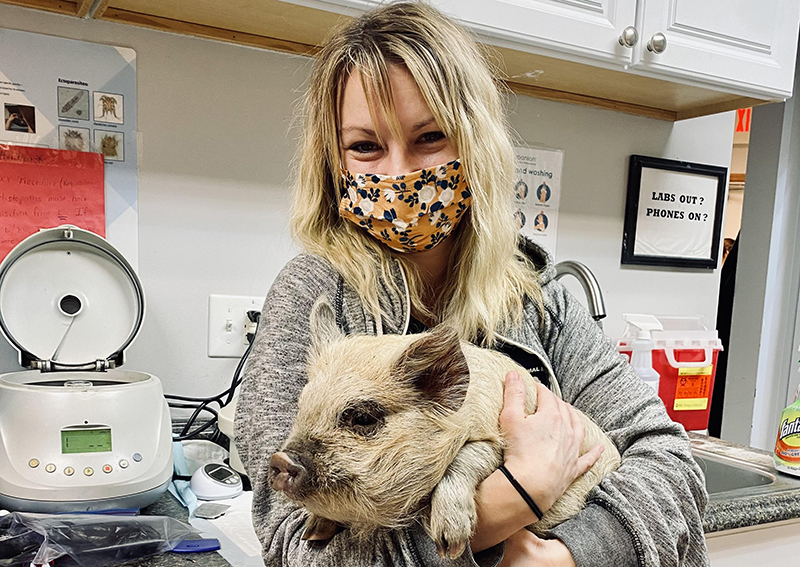 Carousel Slide 5: Animal Health Care